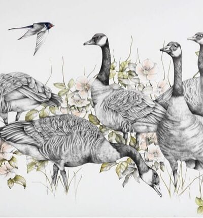 Angry Geese
Pencil on Cotton Paper
38.5” x 31”