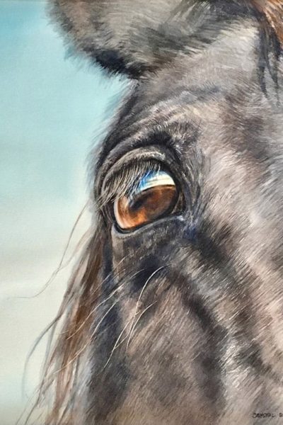 Alert
Watercolour
22” x 22”