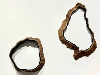 Carbon Capture & Self Pity: White Oak & Resin Sculpture