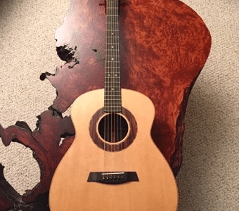 Acoustic Wolf Guitar